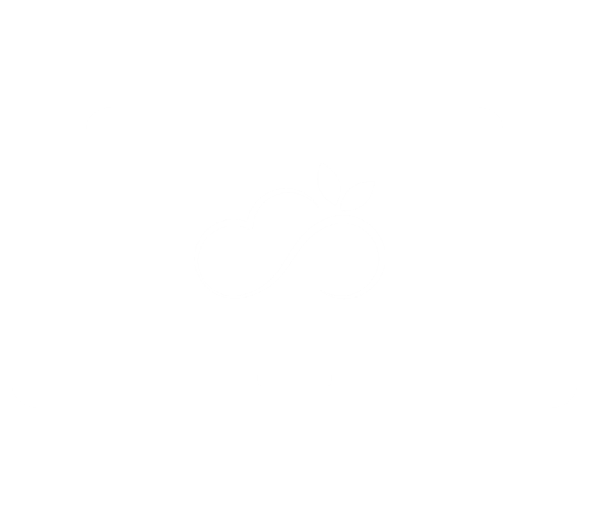demo foodqloud netsuite erp