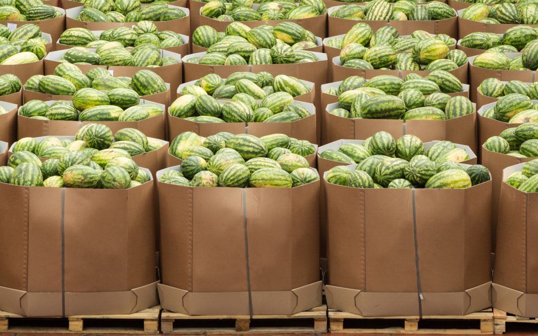 netsuite fruit vegetables fresh produce distribution erp - kopie