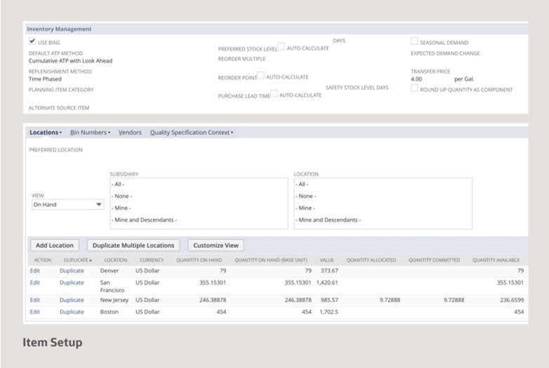 item setup netsuite demand planning forecasting